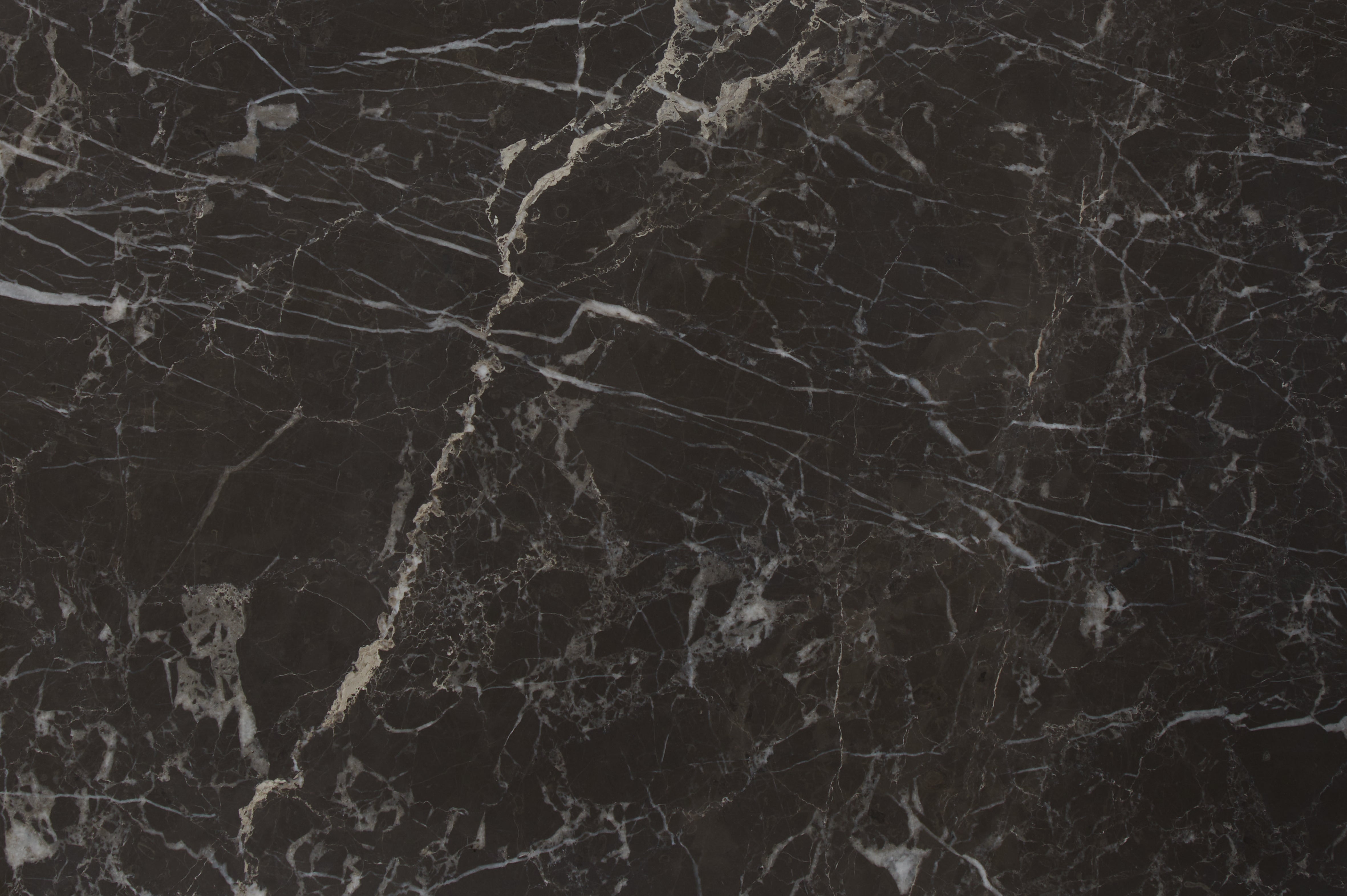 Avant Garde Marble