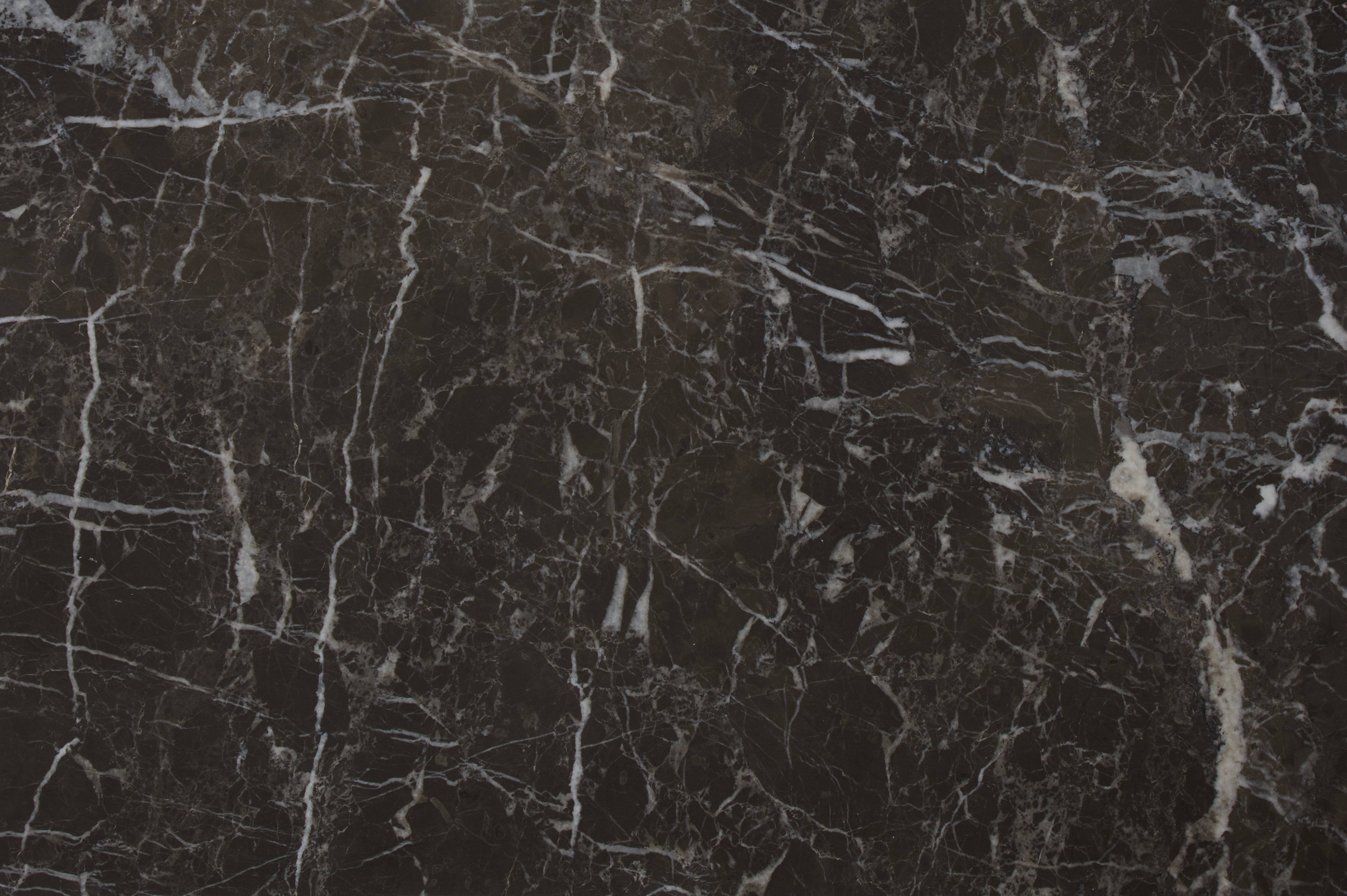 Avant Garde Marble