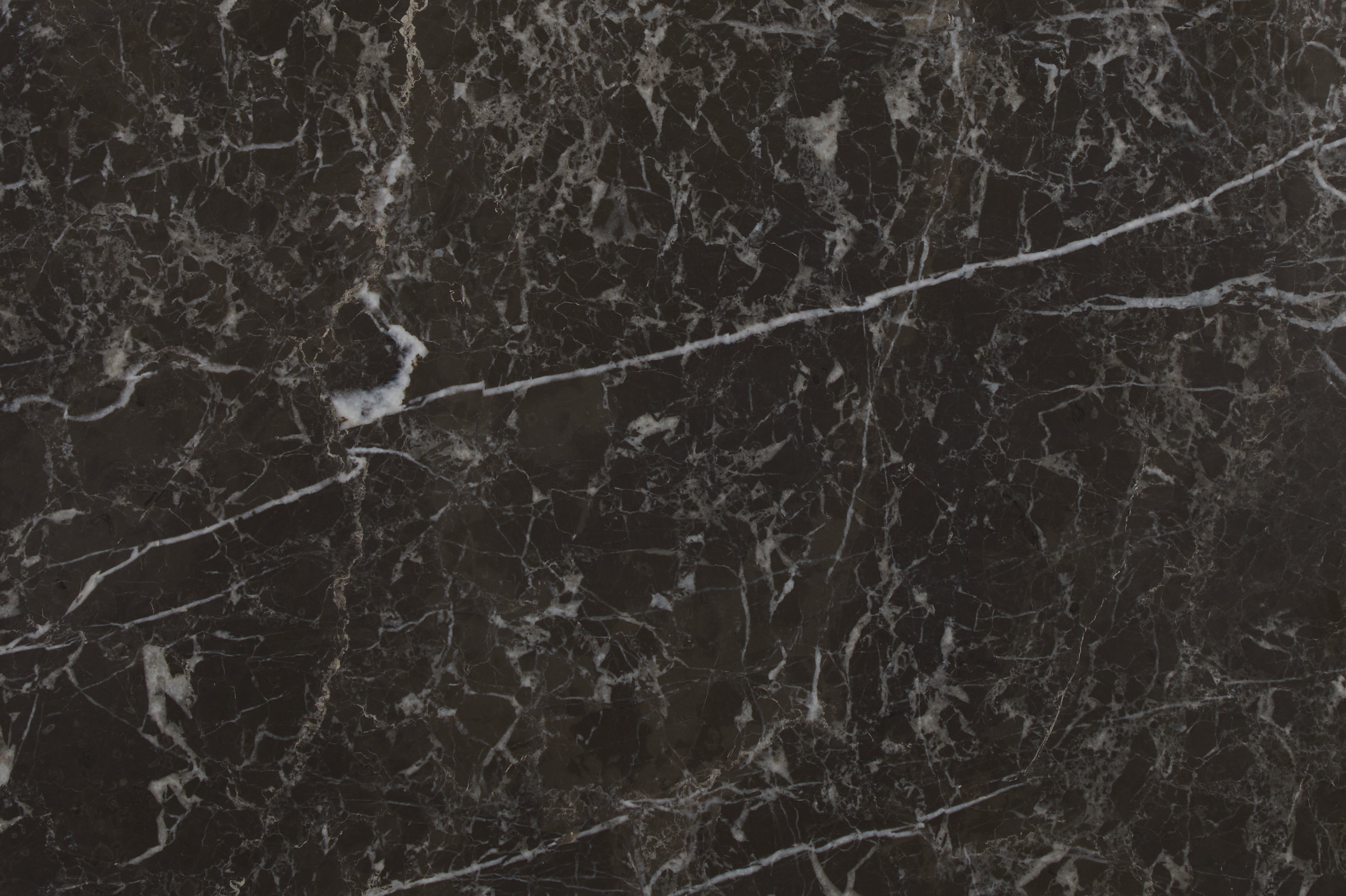 Avant Garde Marble