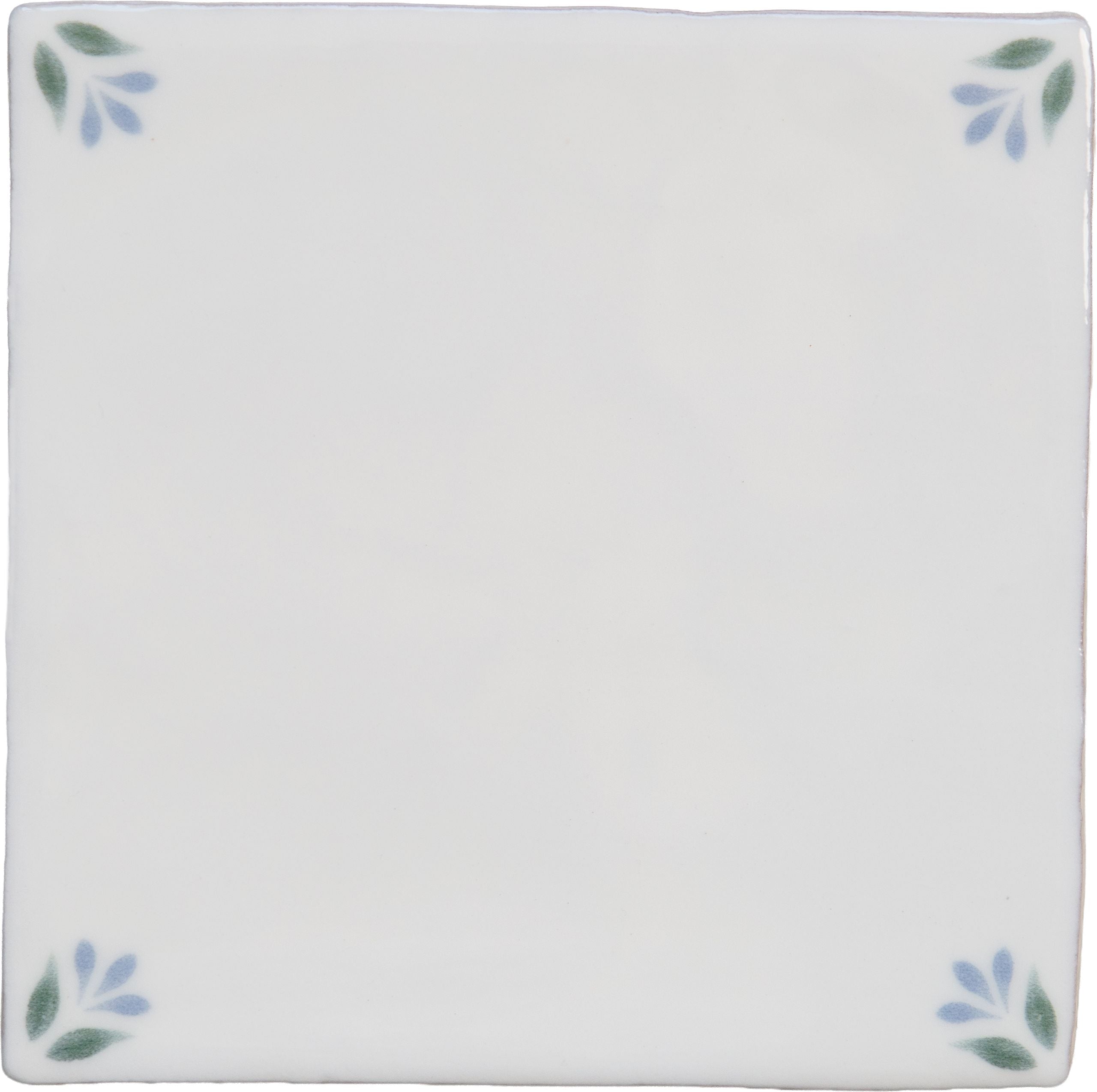 Spring April Cornflower