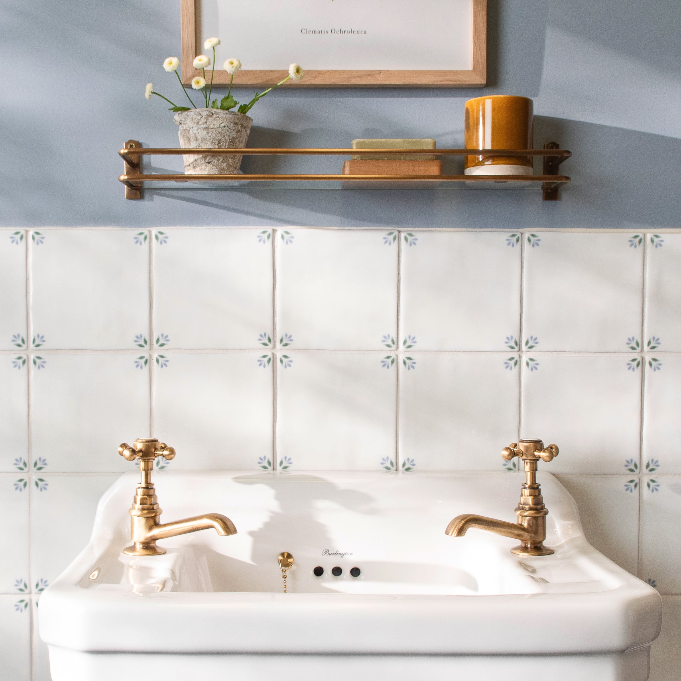 Spring April Cornflower