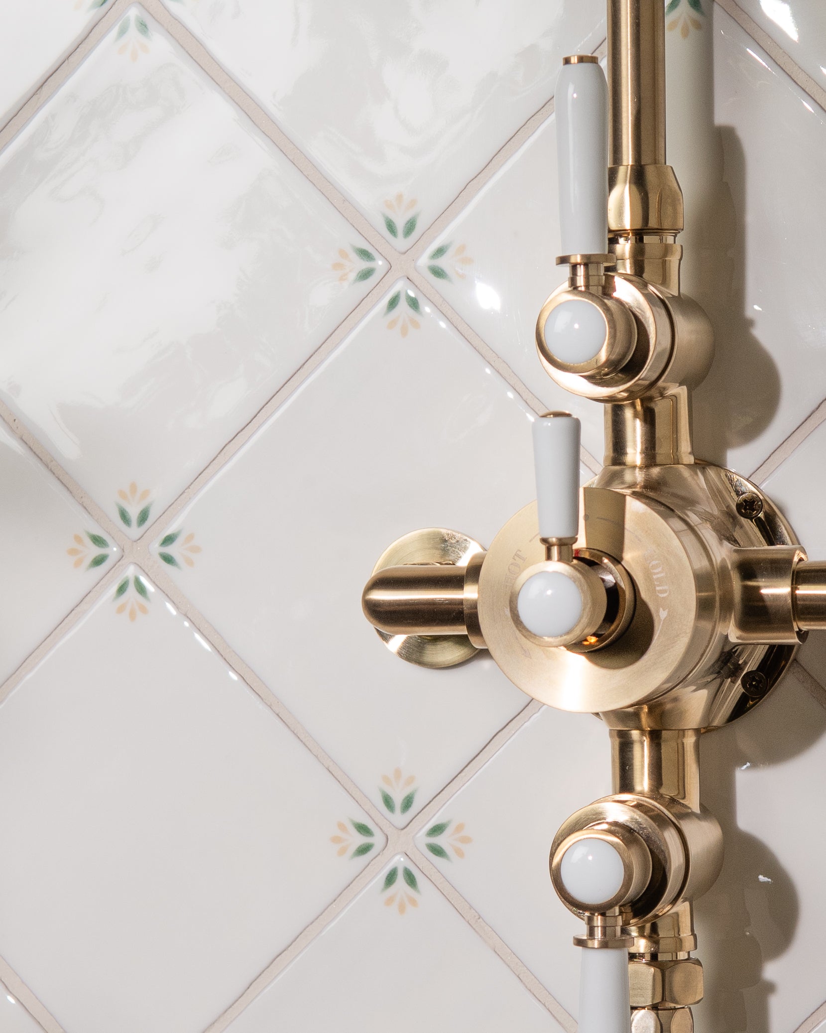 Spring April Primrose