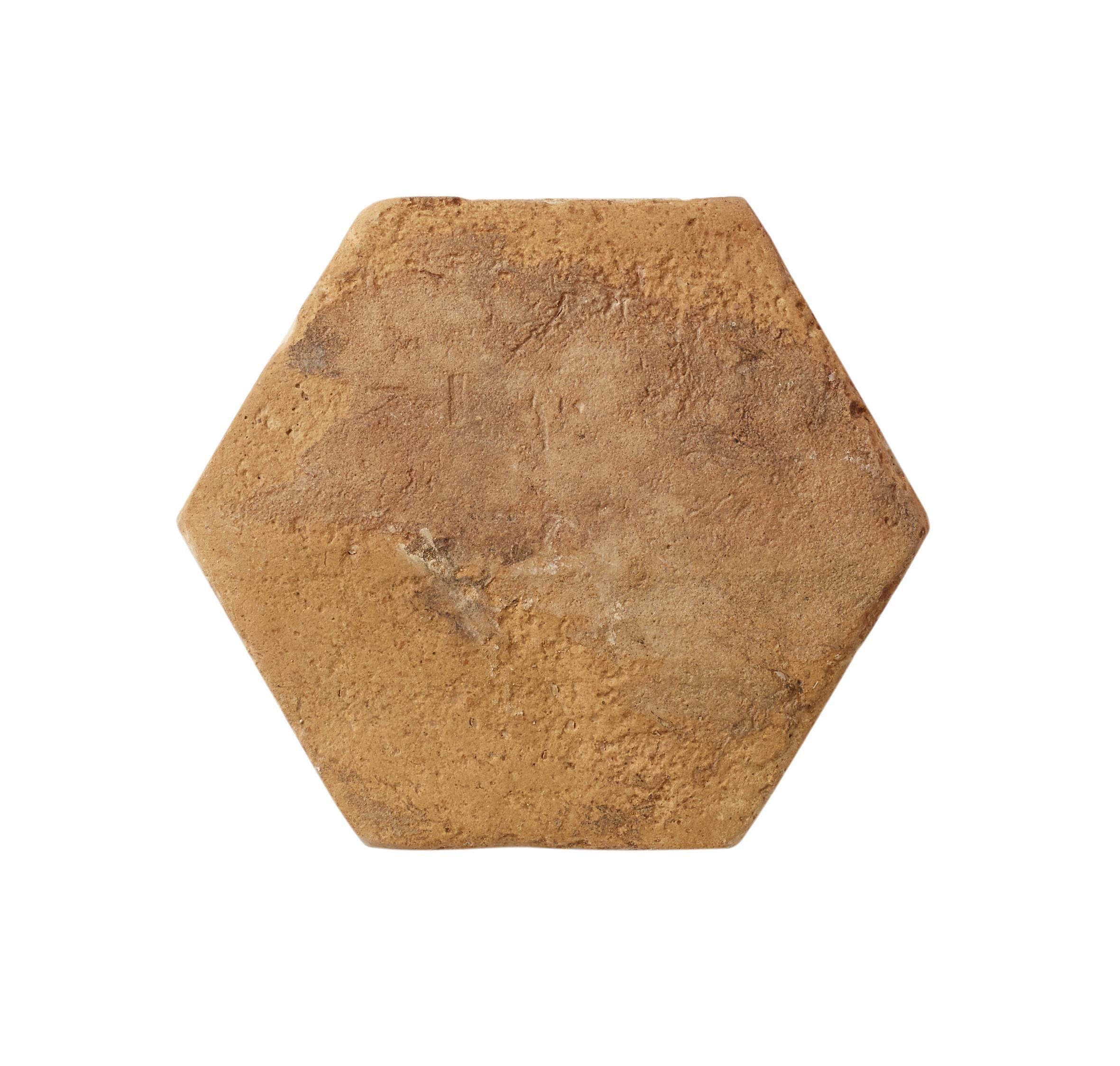 Reclaimed Terracotta Hexagon