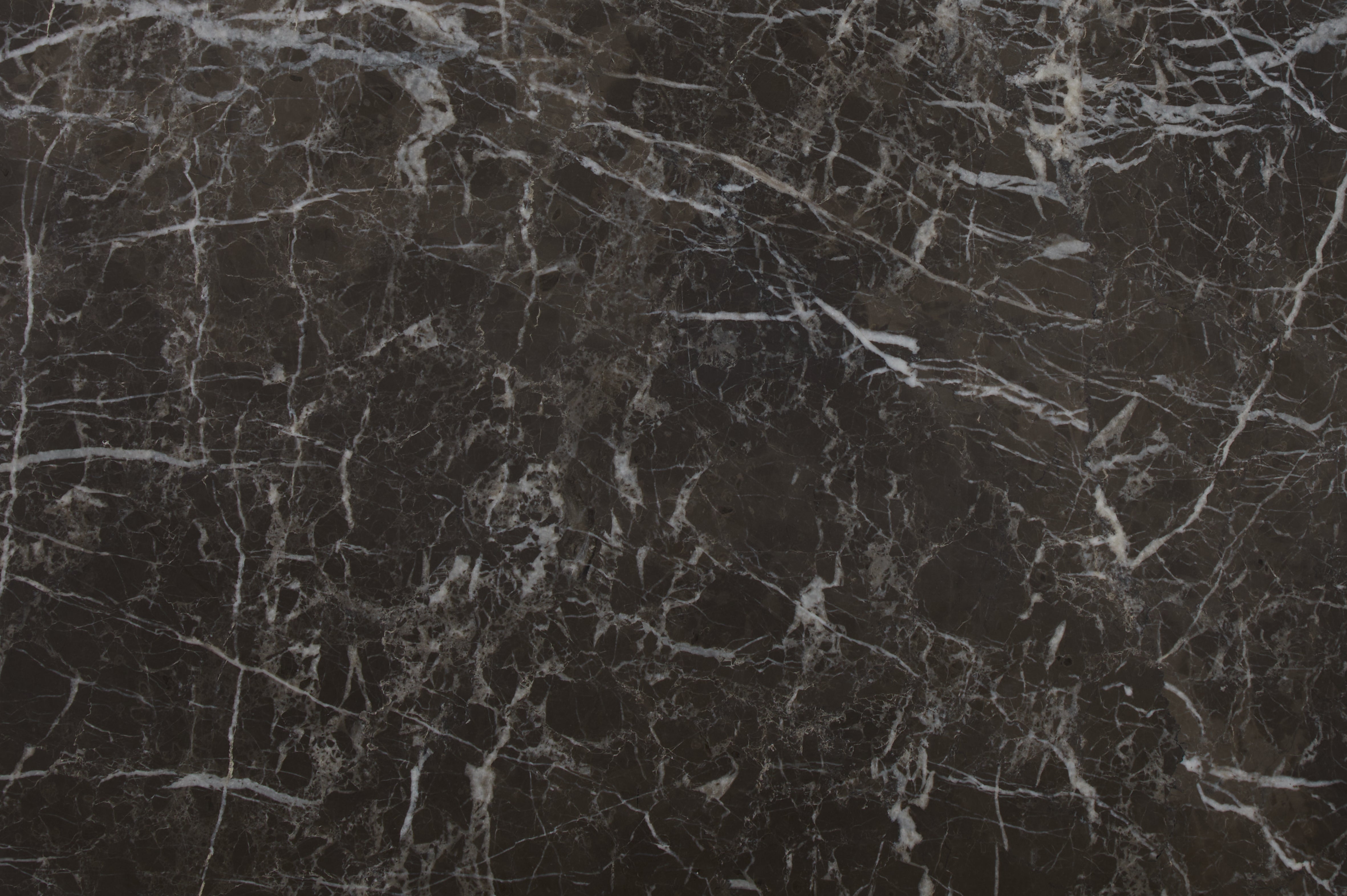 Avant Garde Marble