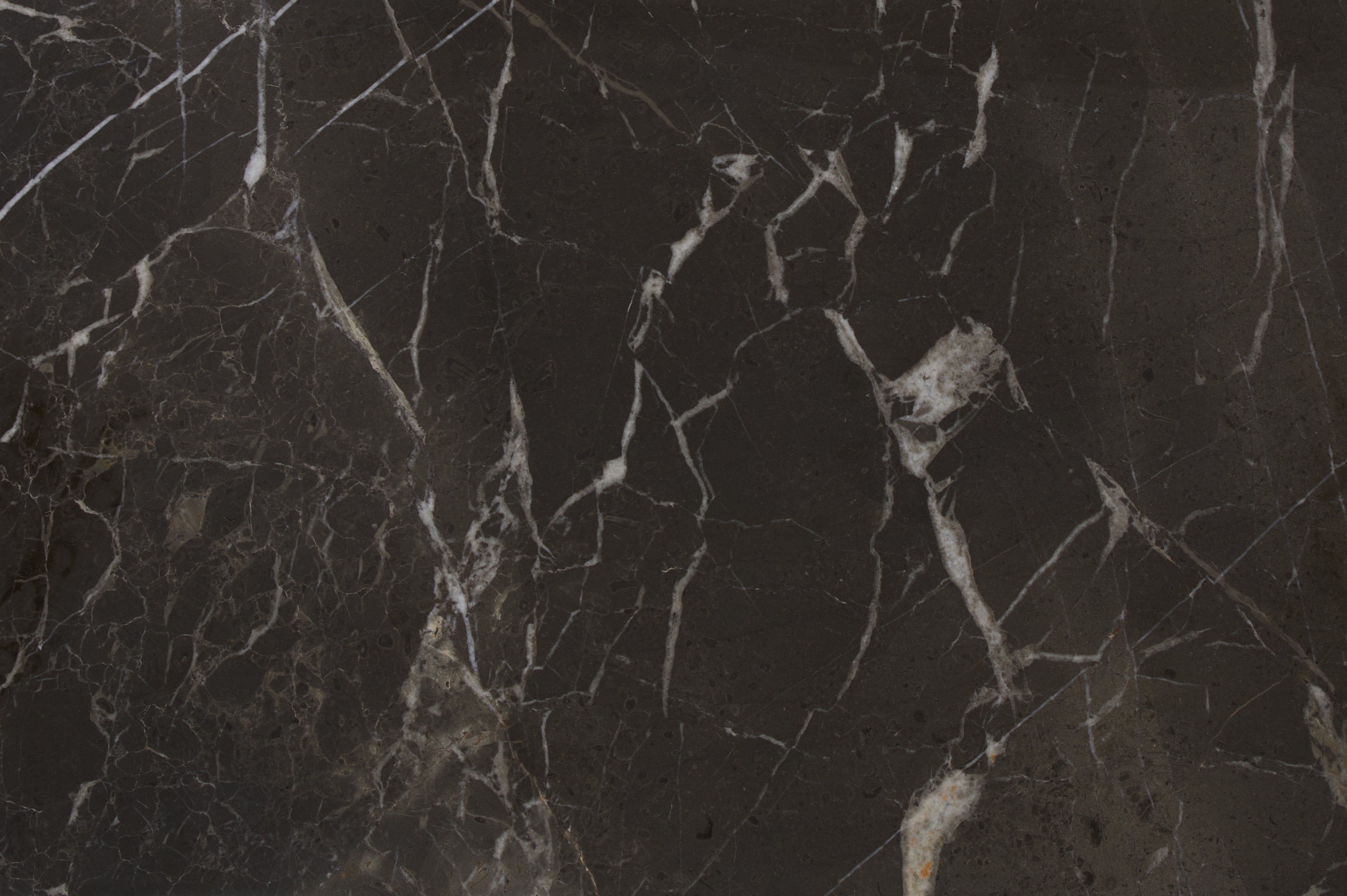 Avant Garde Marble