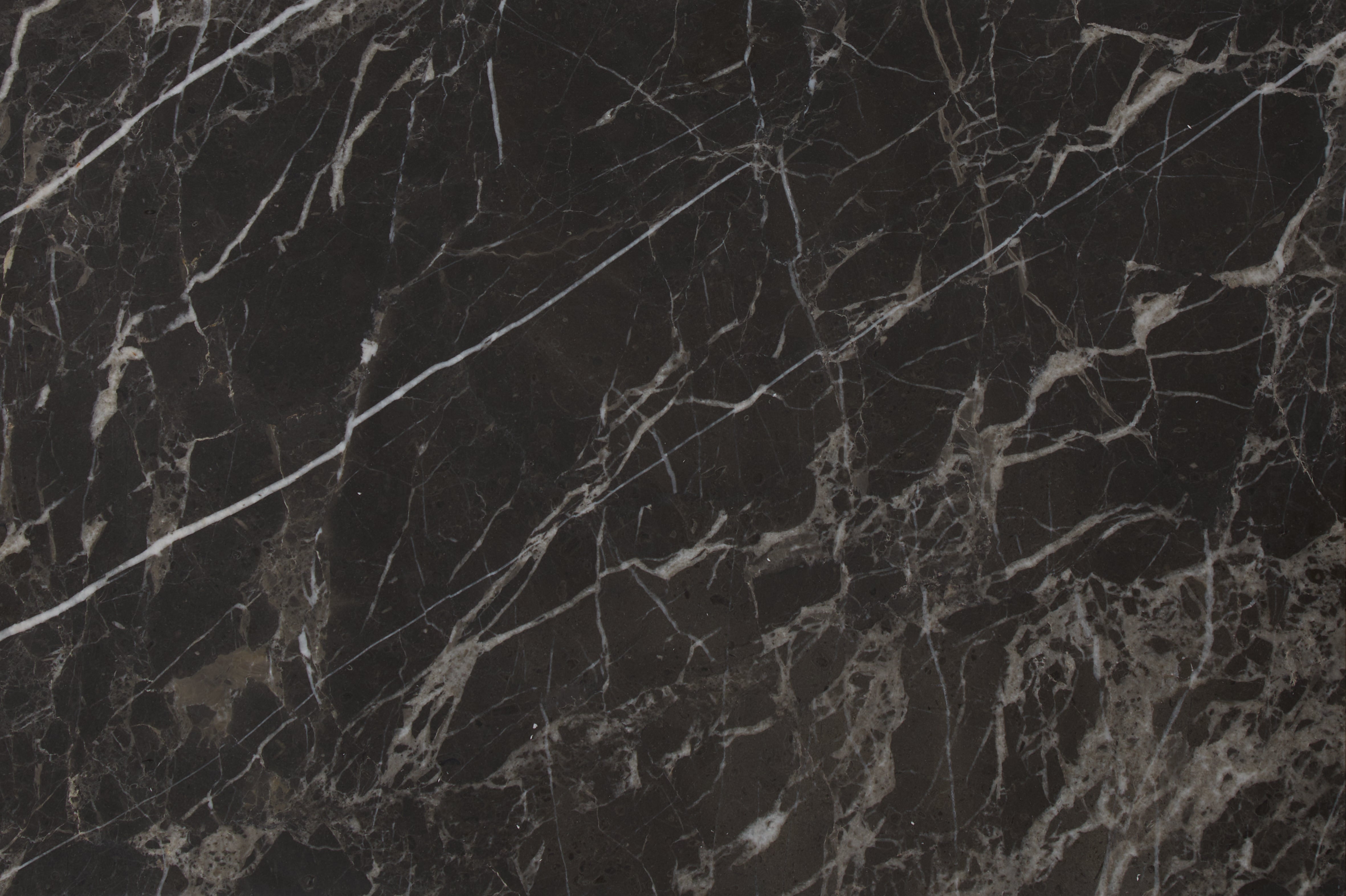 Avant Garde Marble