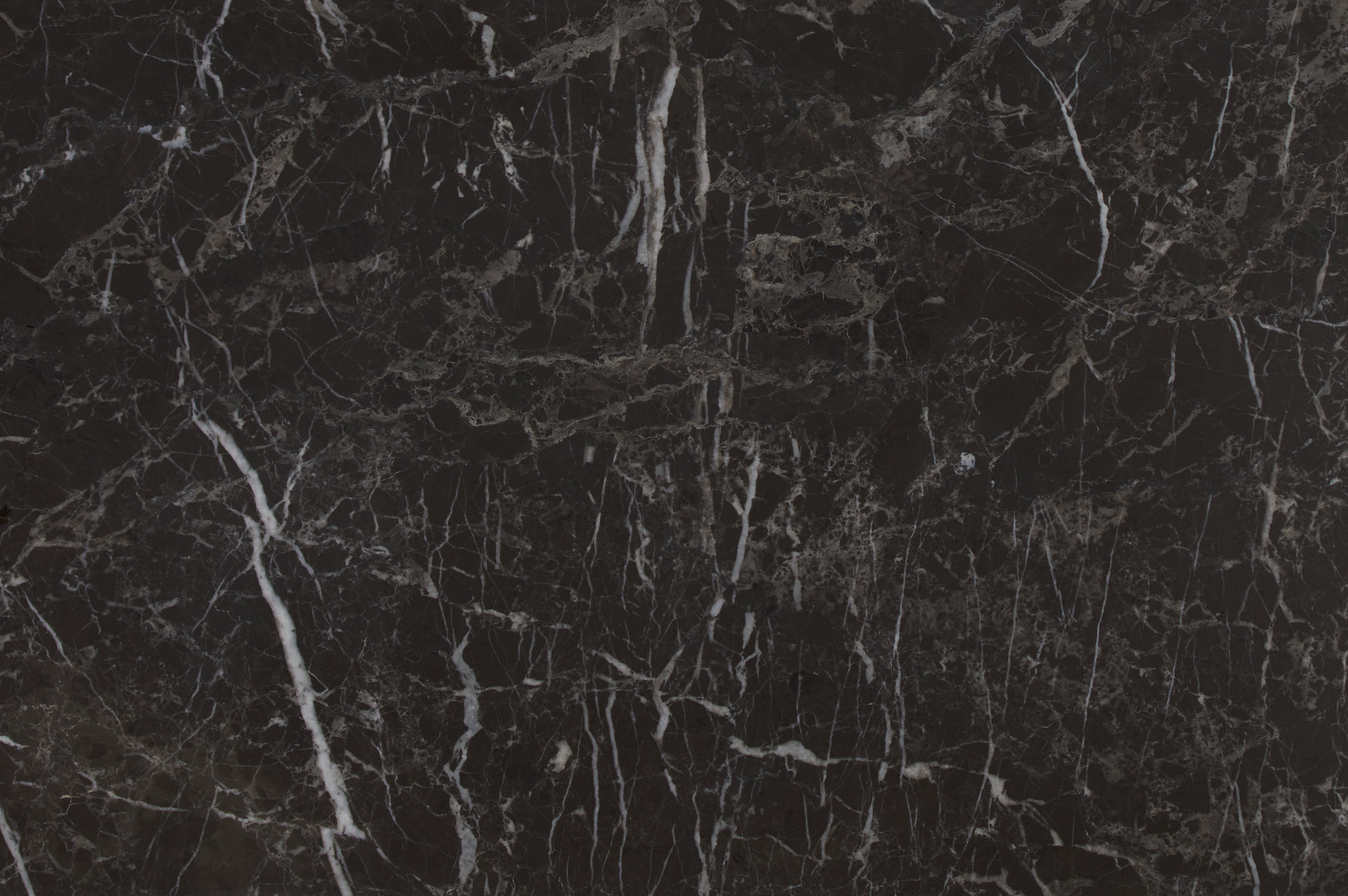Avant Garde Marble