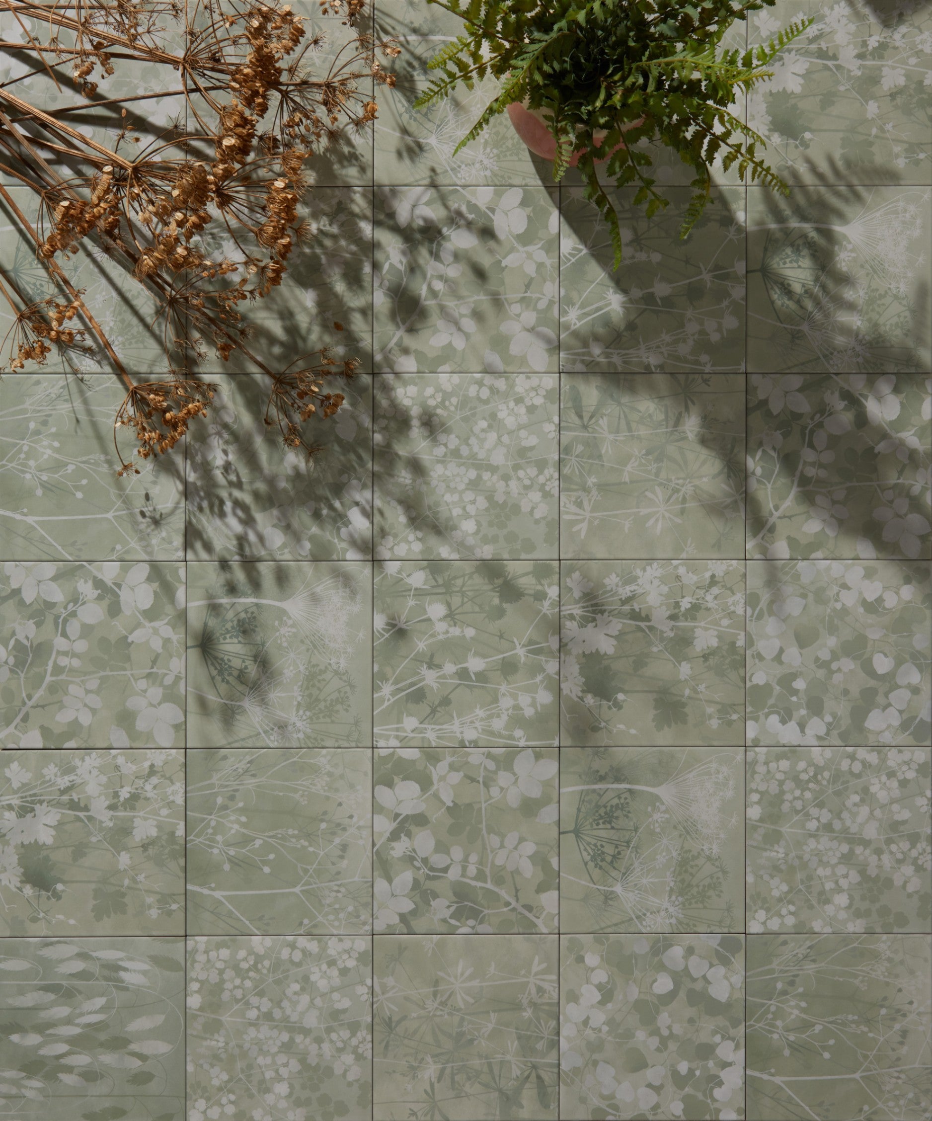 Wild Botanicals by Clarissa Hulse