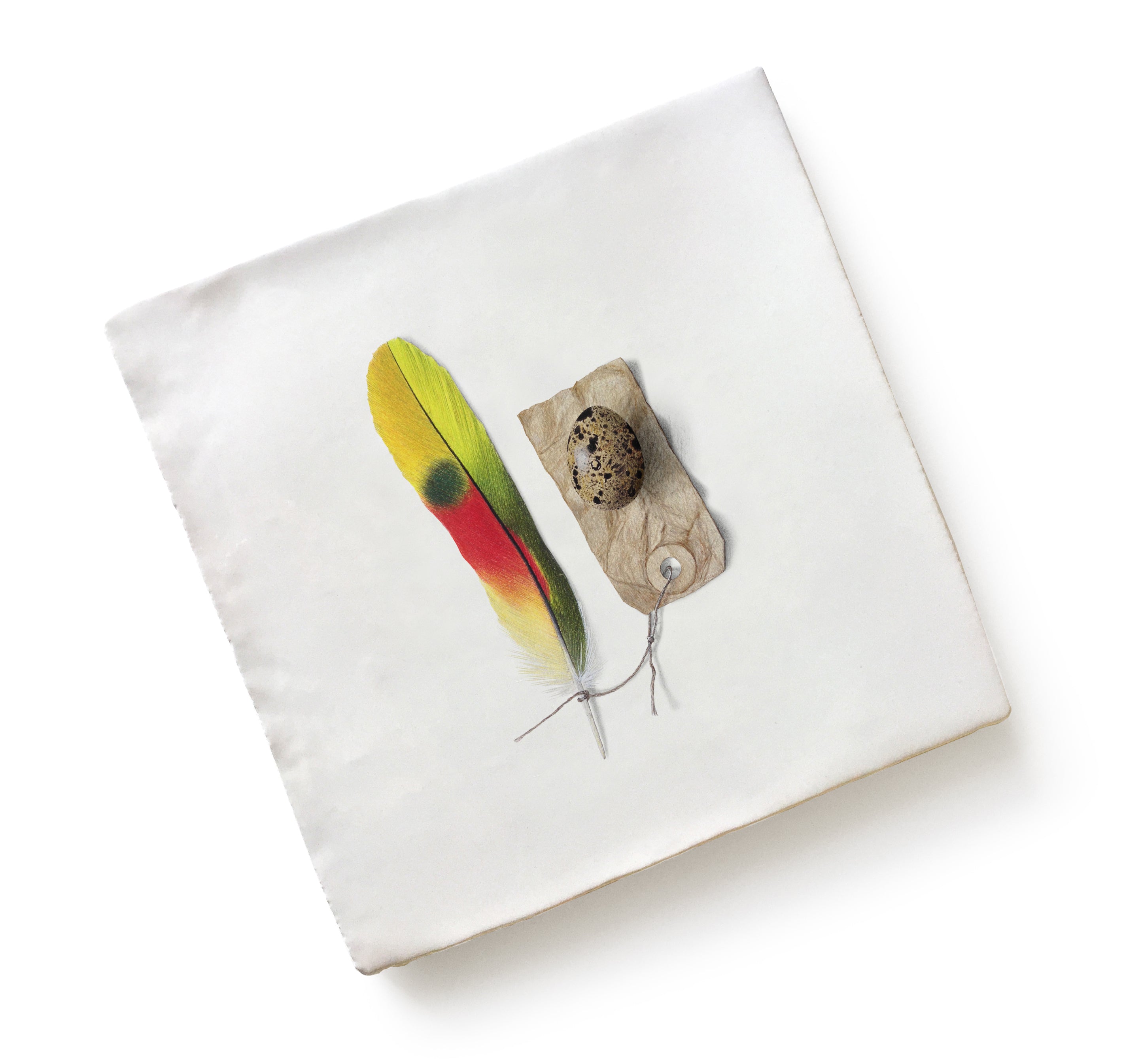 Menagerie Ceramic