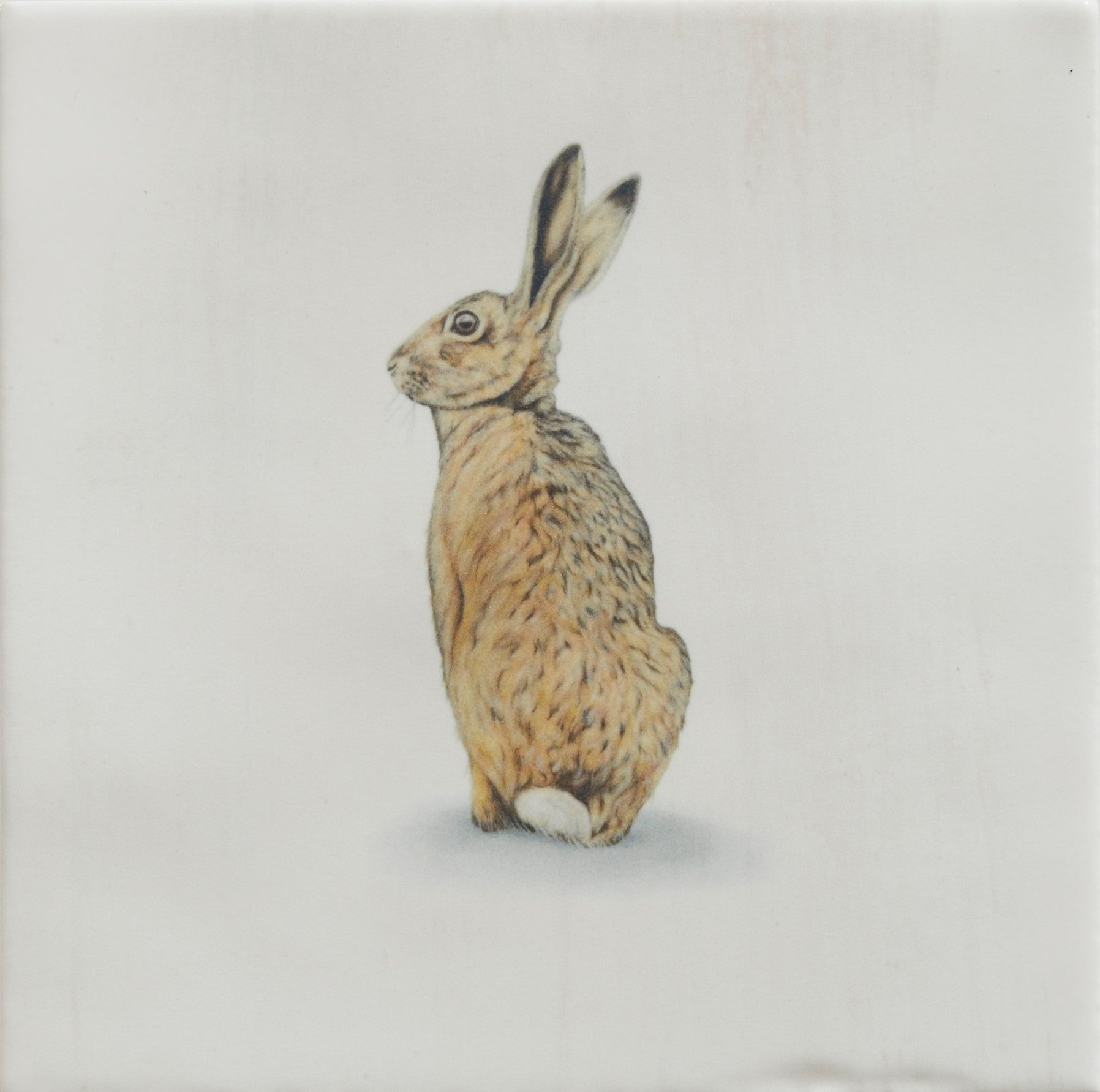 Wiltshire Hares Ceramic by Joanna May