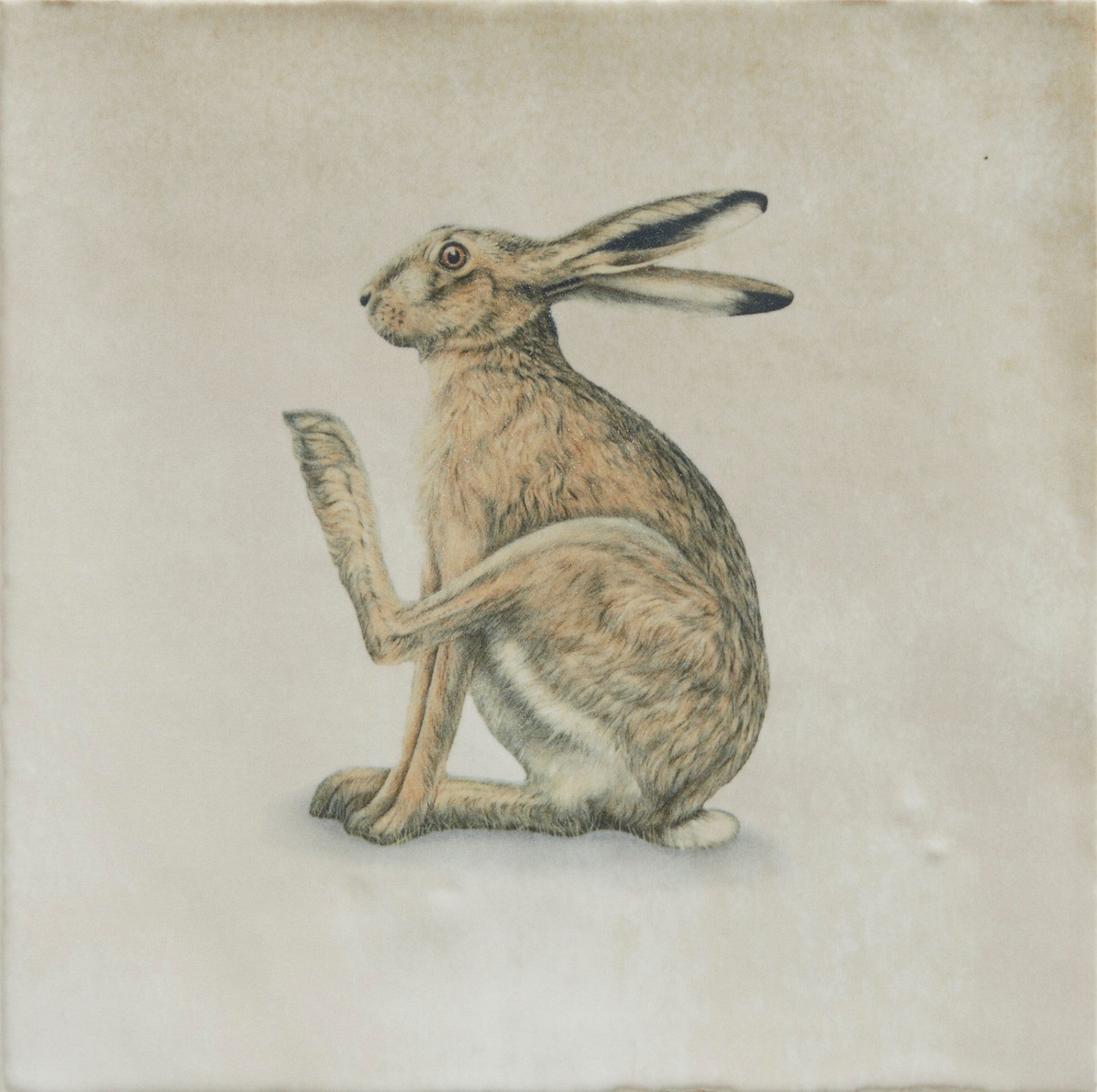 Wiltshire Hares Ceramic by Joanna May