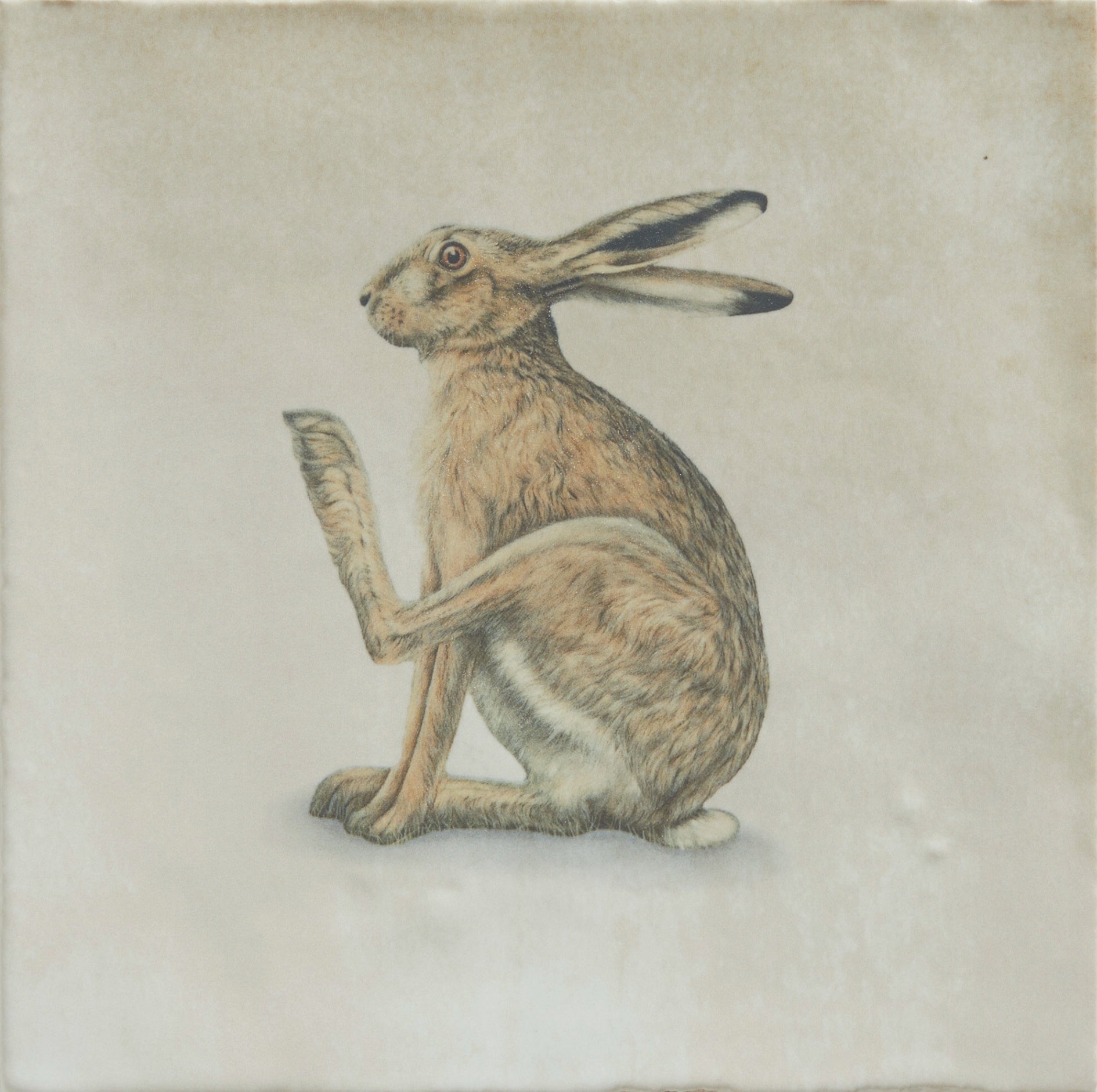 Wiltshire Hares Ceramic by Joanna May